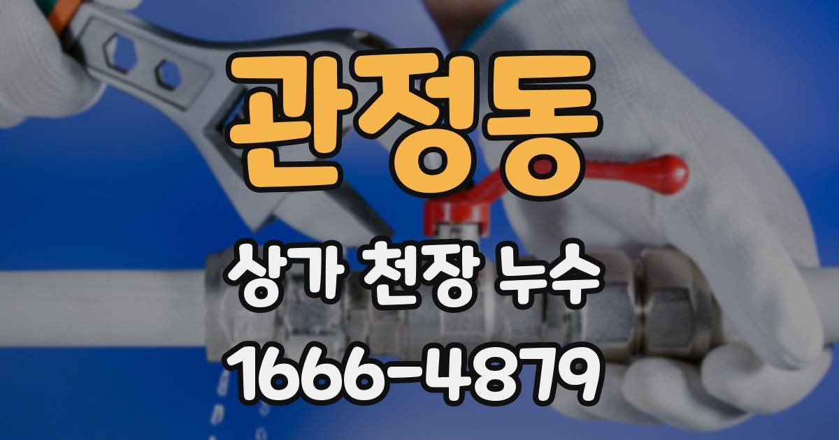 관정동 상가 천장 누수