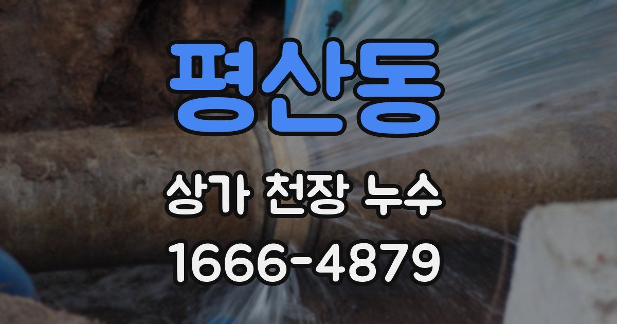 평산동 상가 천장 누수