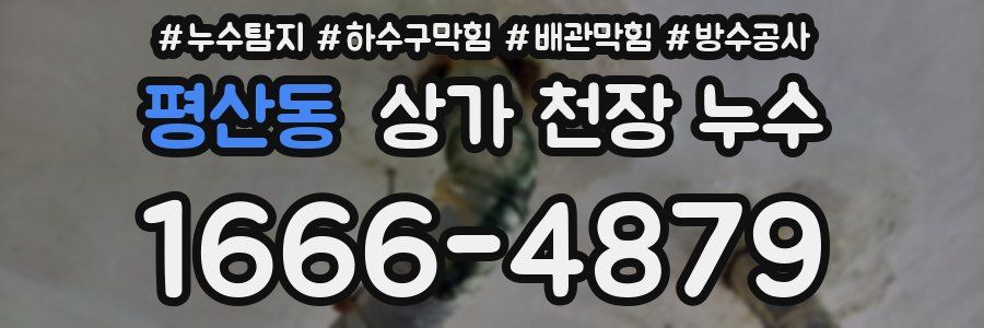 평산동 상가 천장 누수