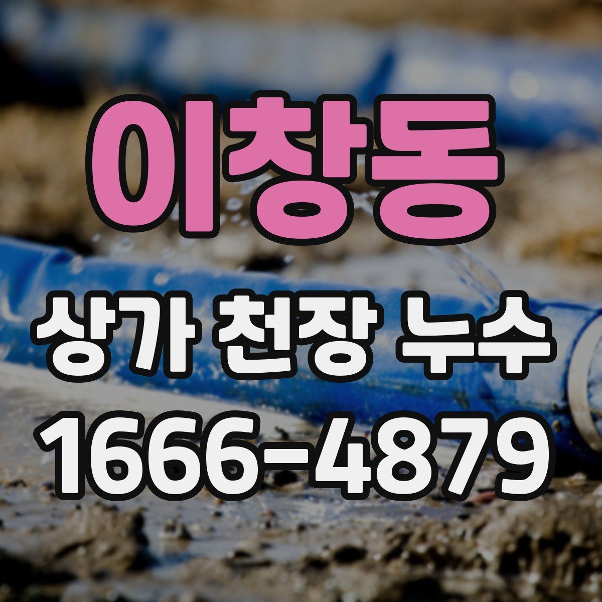 이창동 상가 천장 누수