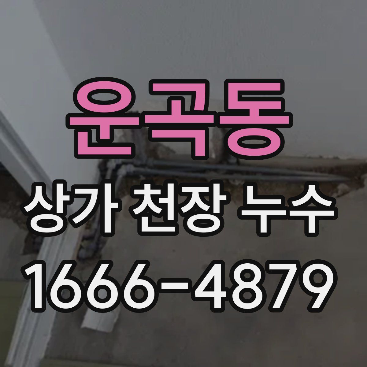 운곡동 상가 천장 누수