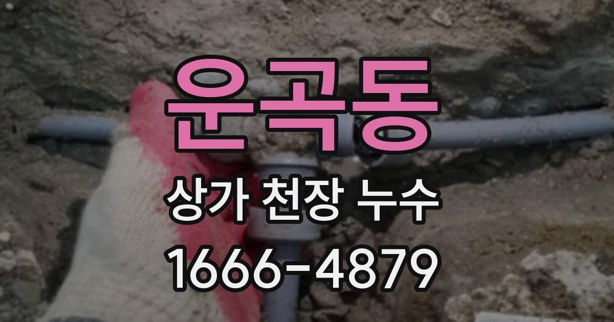 운곡동 상가 천장 누수