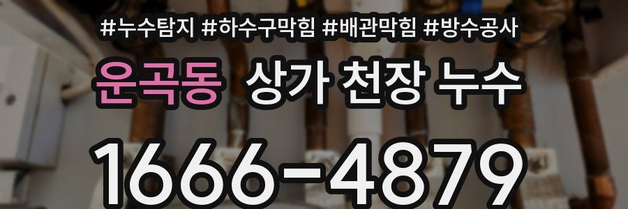 운곡동 상가 천장 누수