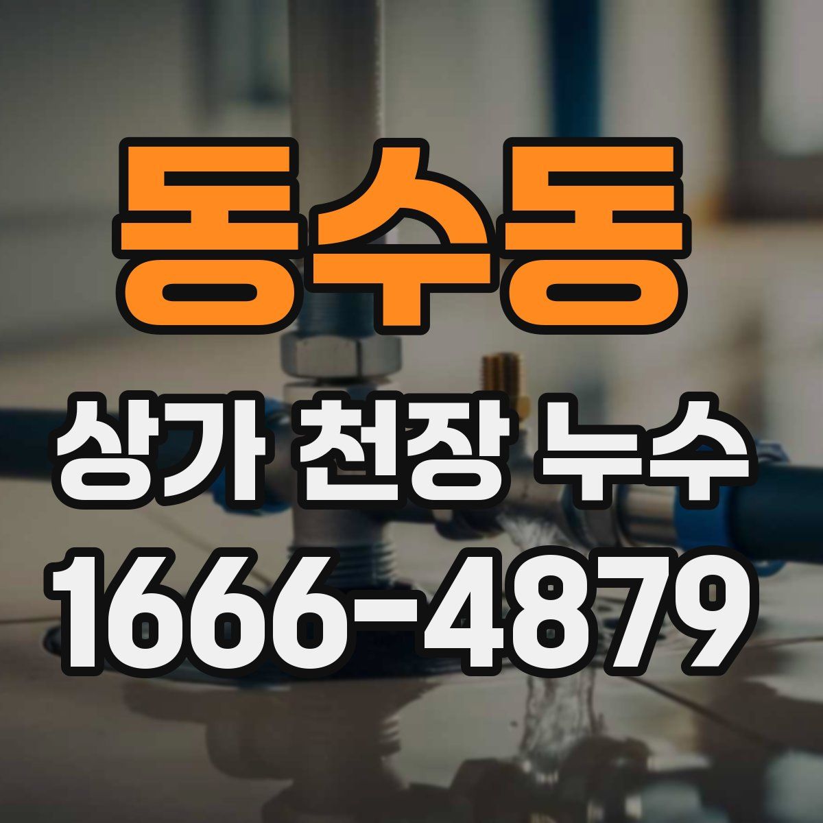 동수동 상가 천장 누수