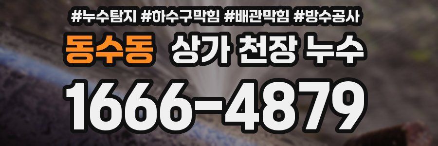 동수동 상가 천장 누수