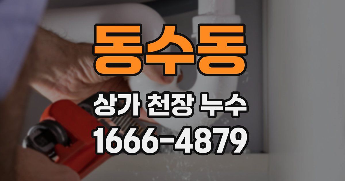 동수동 상가 천장 누수
