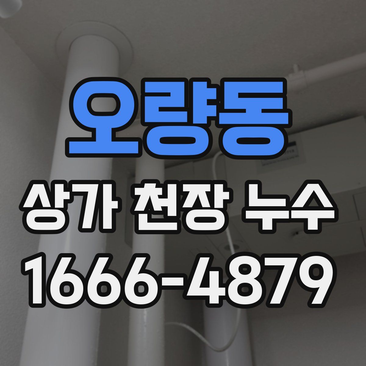 오량동 상가 천장 누수