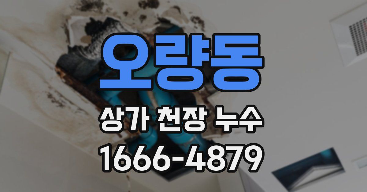 오량동 상가 천장 누수
