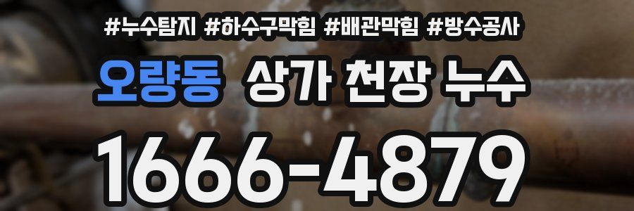 오량동 상가 천장 누수