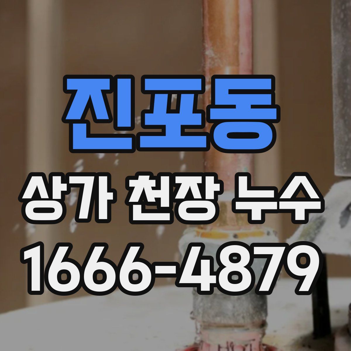 진포동 상가 천장 누수