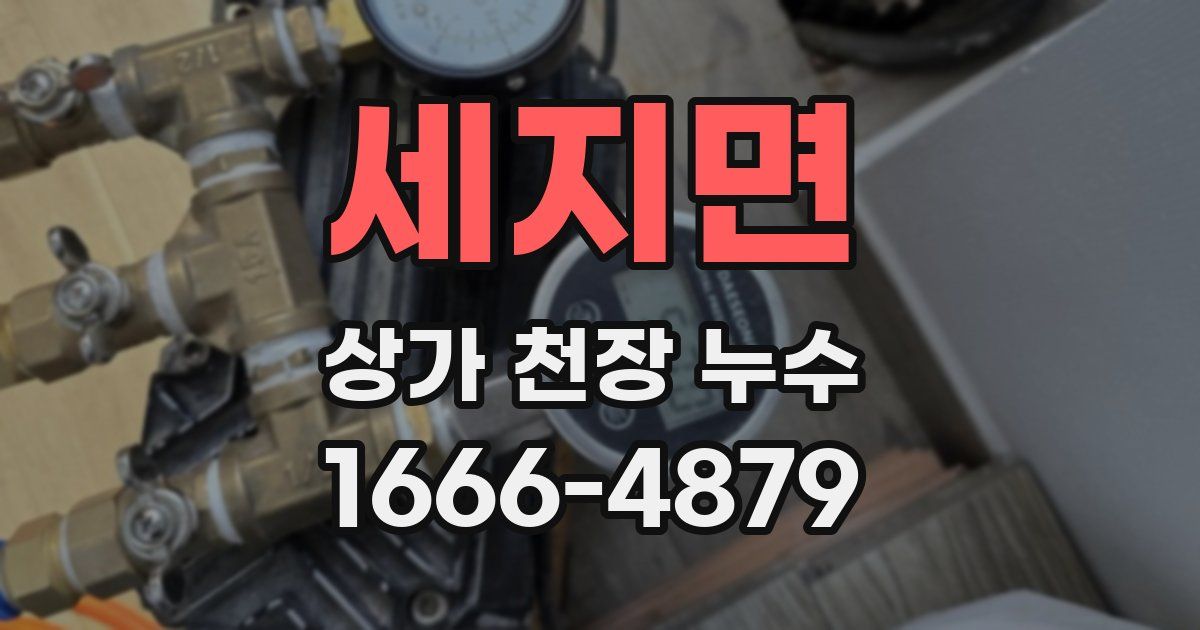 세지면 상가 천장 누수