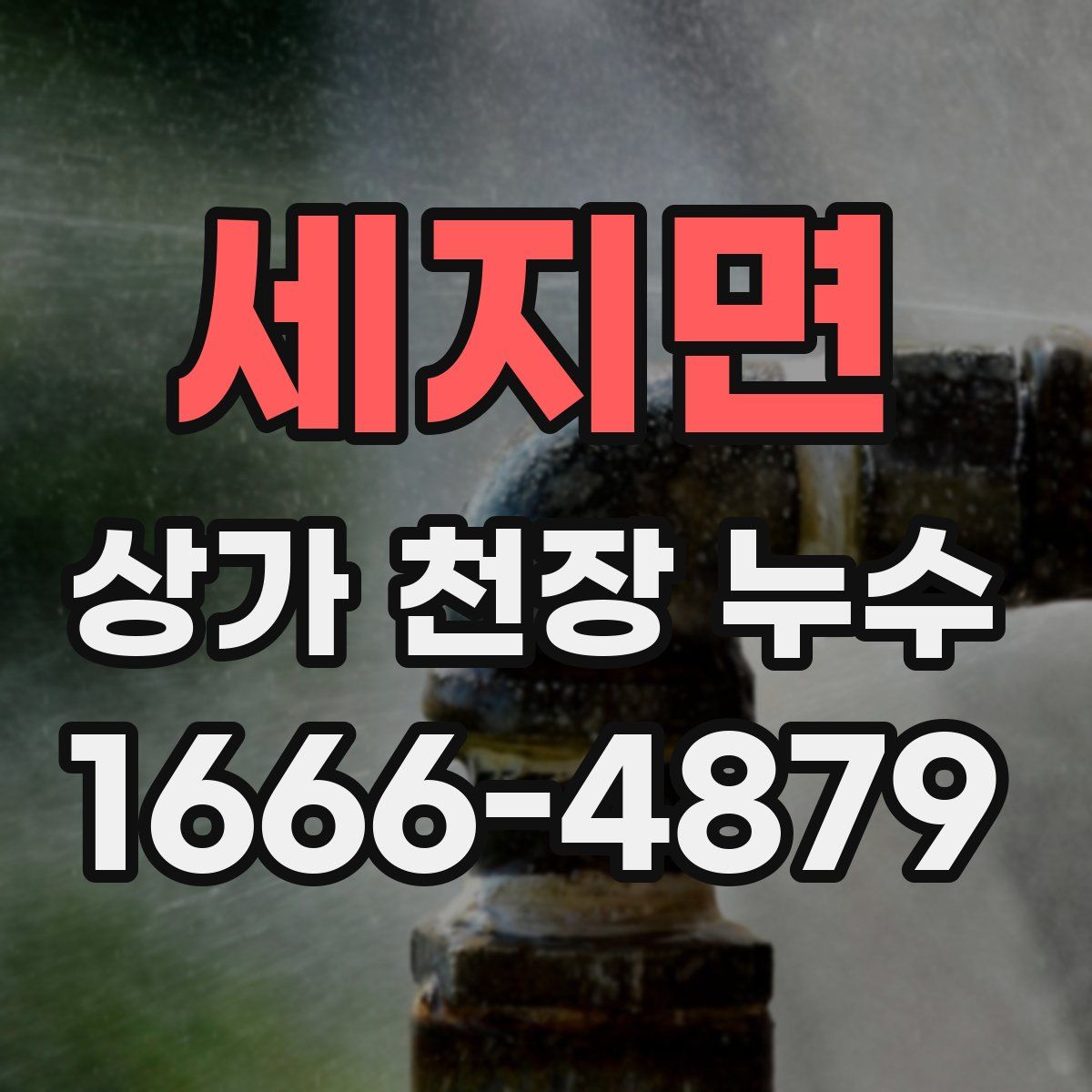 세지면 상가 천장 누수