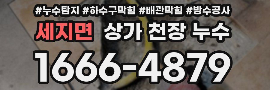 세지면 상가 천장 누수