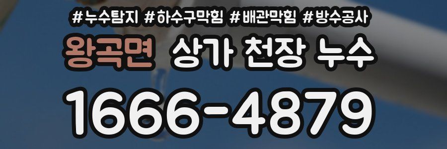 왕곡면 상가 천장 누수