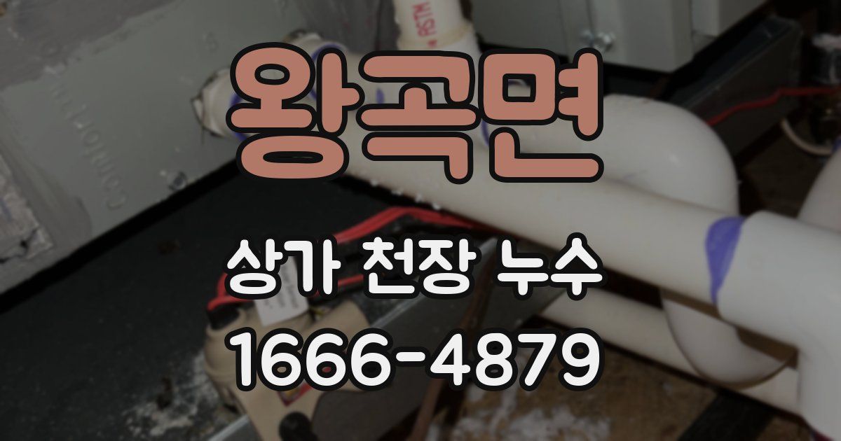 왕곡면 상가 천장 누수