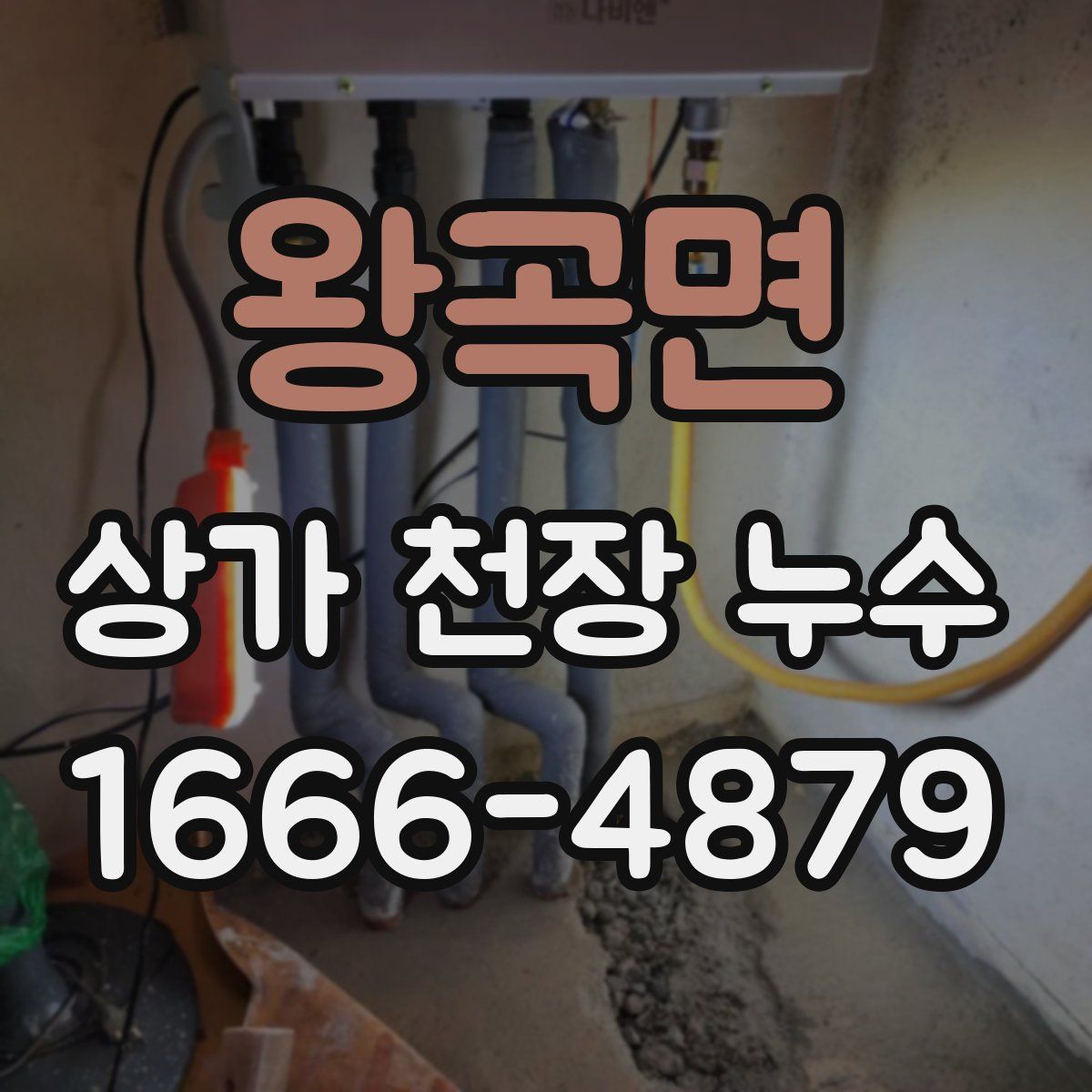 왕곡면 상가 천장 누수