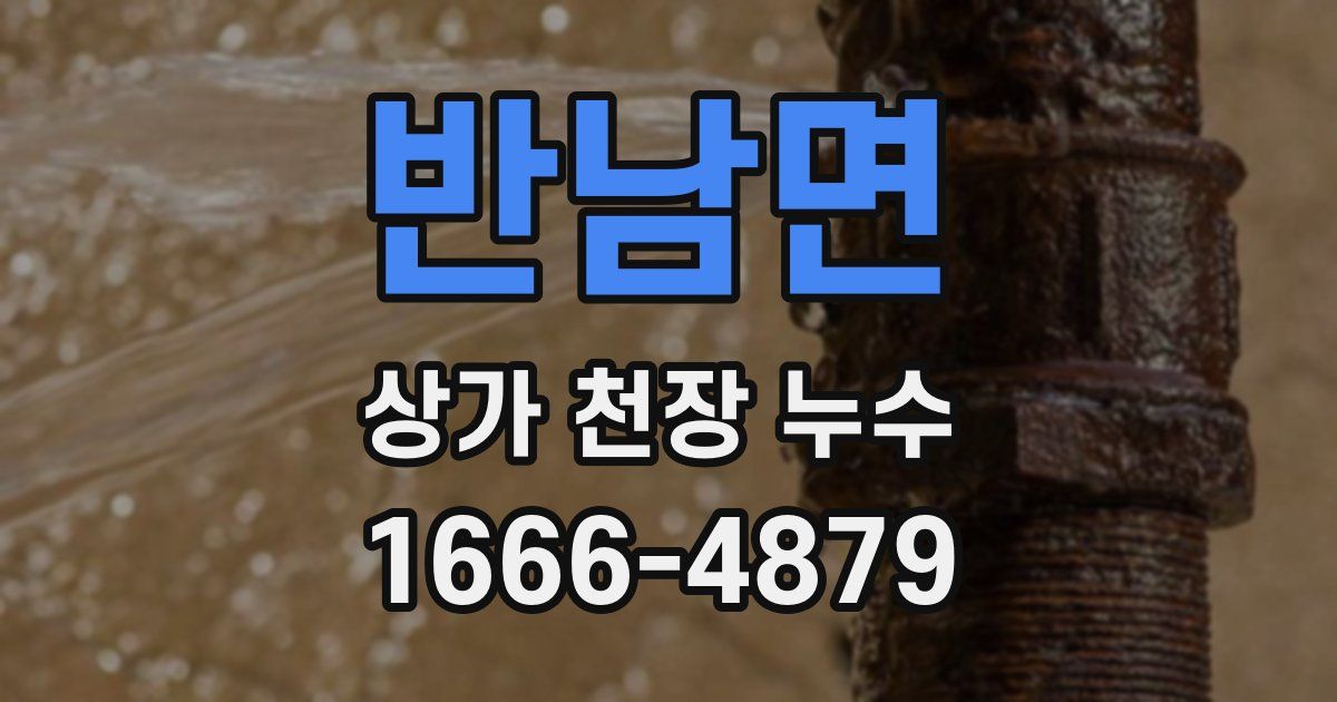 반남면 상가 천장 누수
