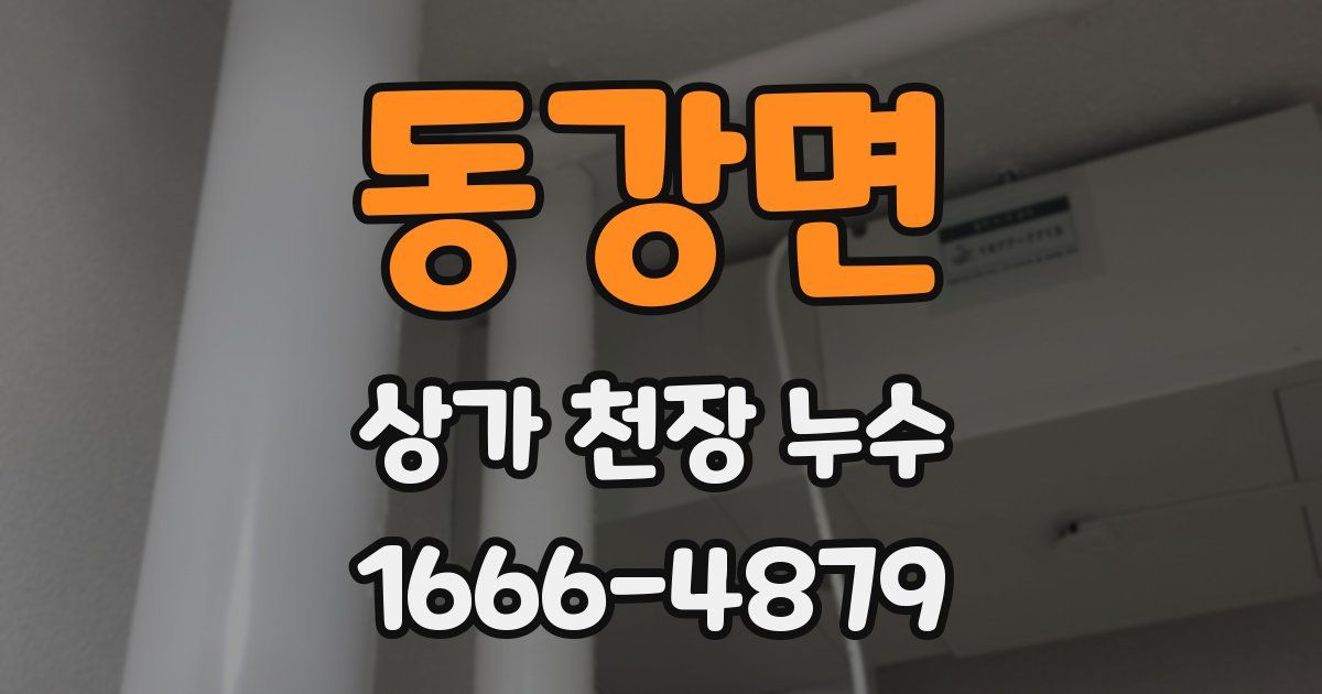 동강면 상가 천장 누수
