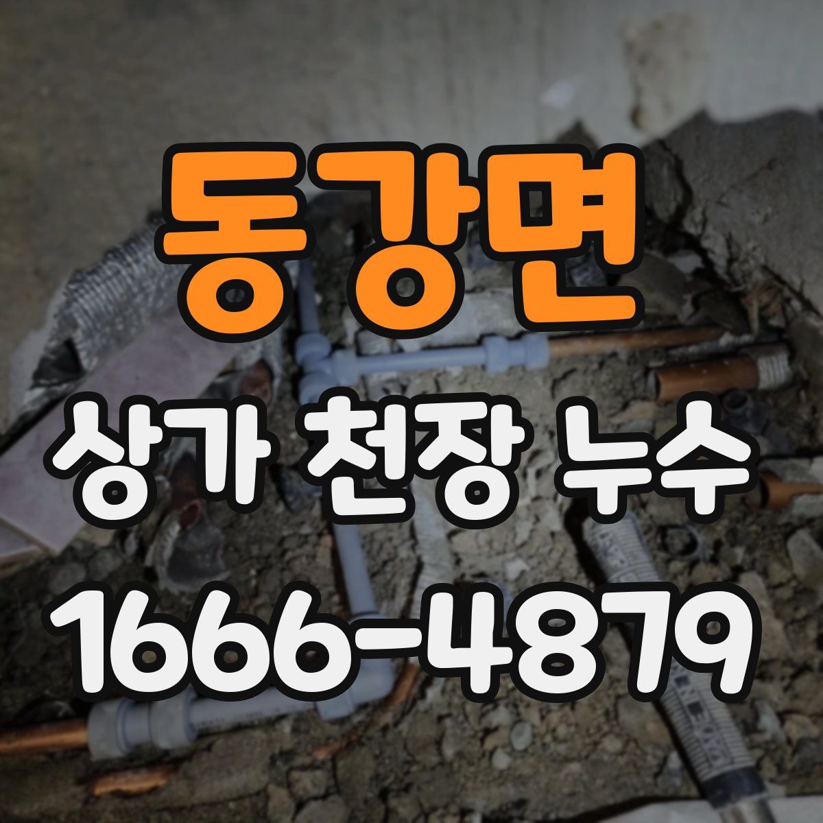 동강면 상가 천장 누수