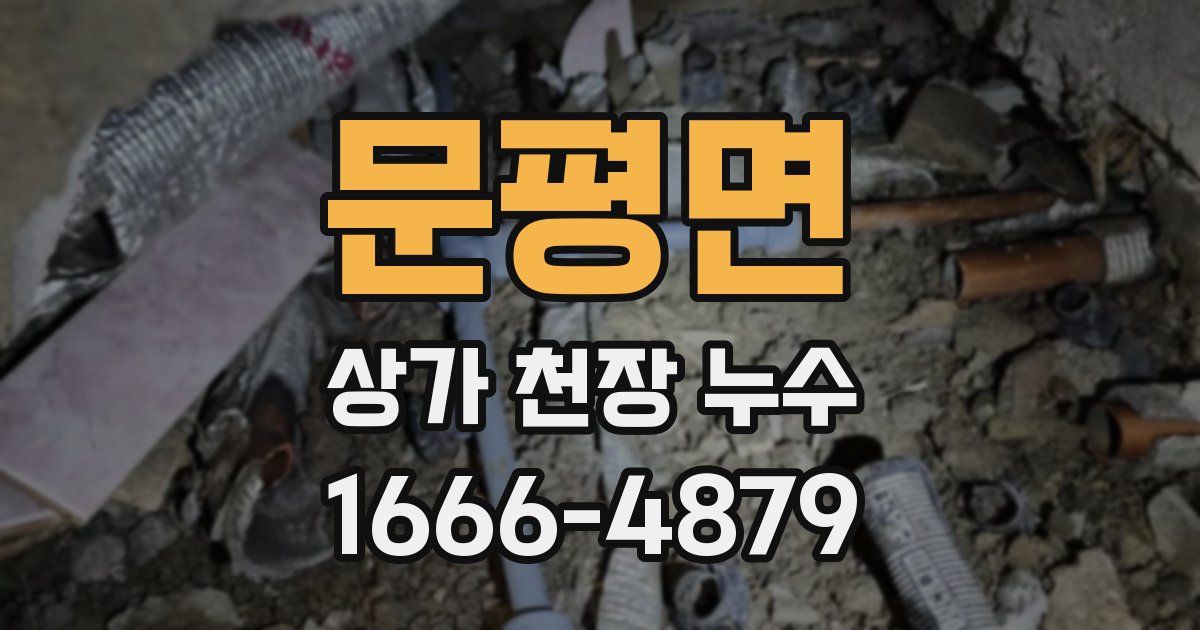 문평면 상가 천장 누수