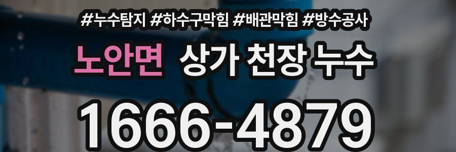 노안면 상가 천장 누수