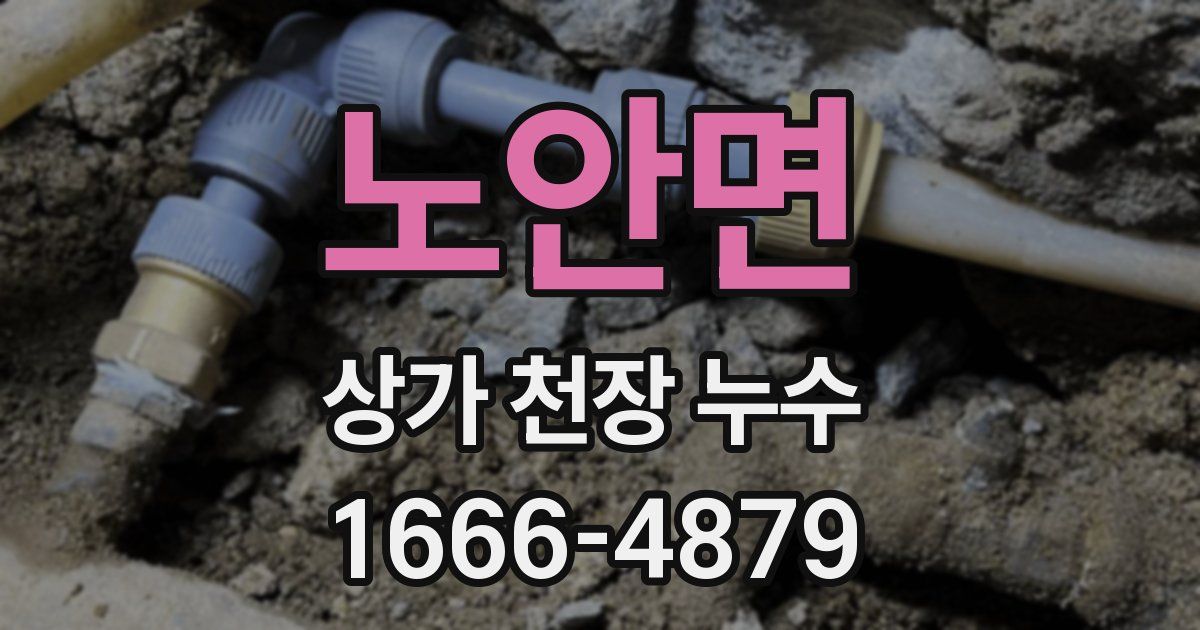 노안면 상가 천장 누수