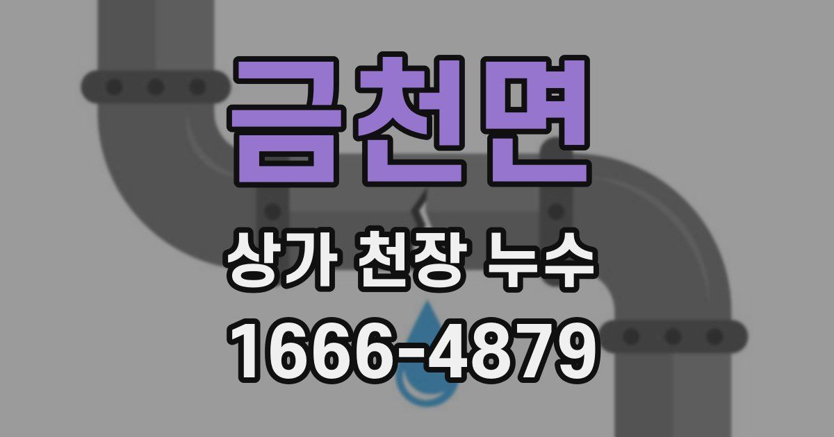 금천면 상가 천장 누수