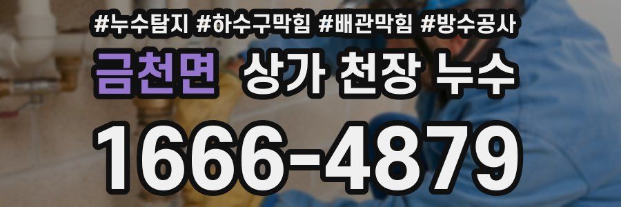 금천면 상가 천장 누수
