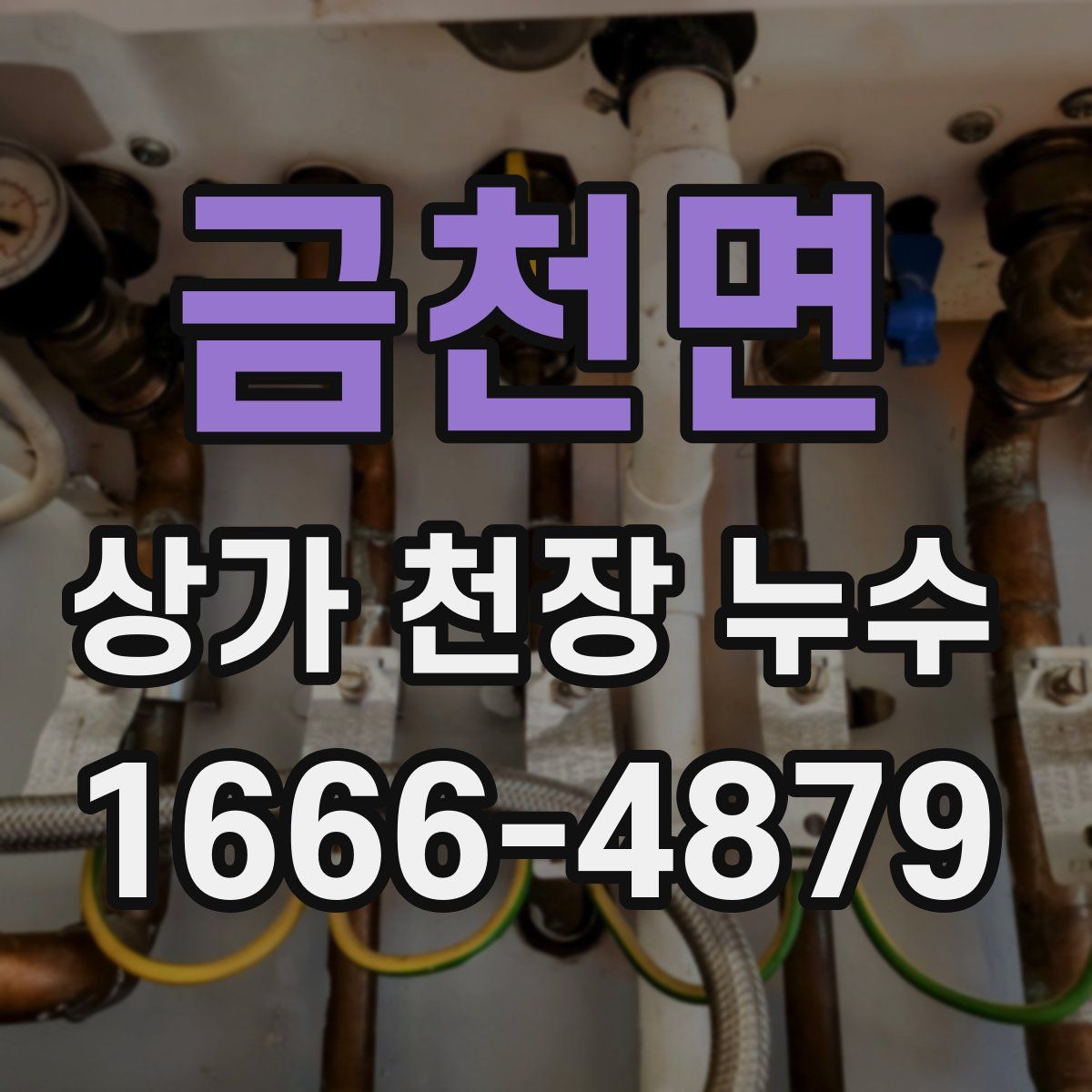 금천면 상가 천장 누수