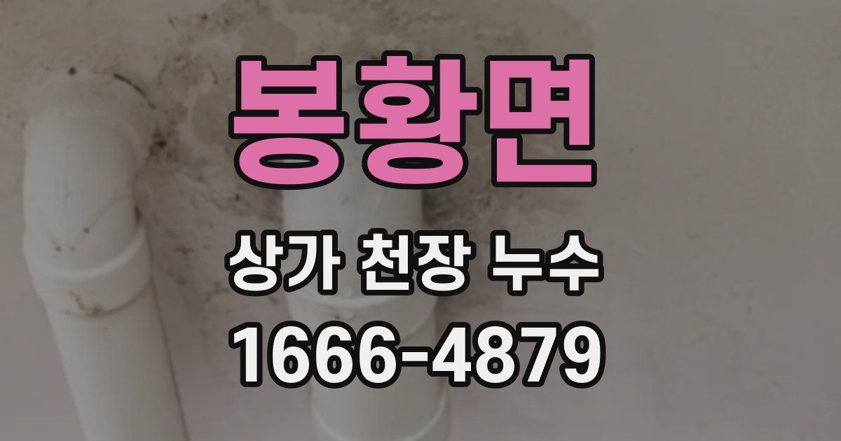 봉황면 상가 천장 누수