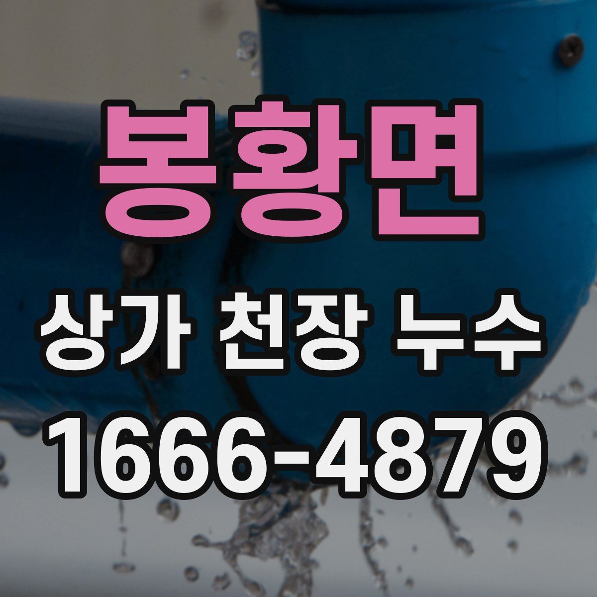 봉황면 상가 천장 누수