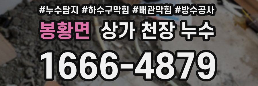봉황면 상가 천장 누수