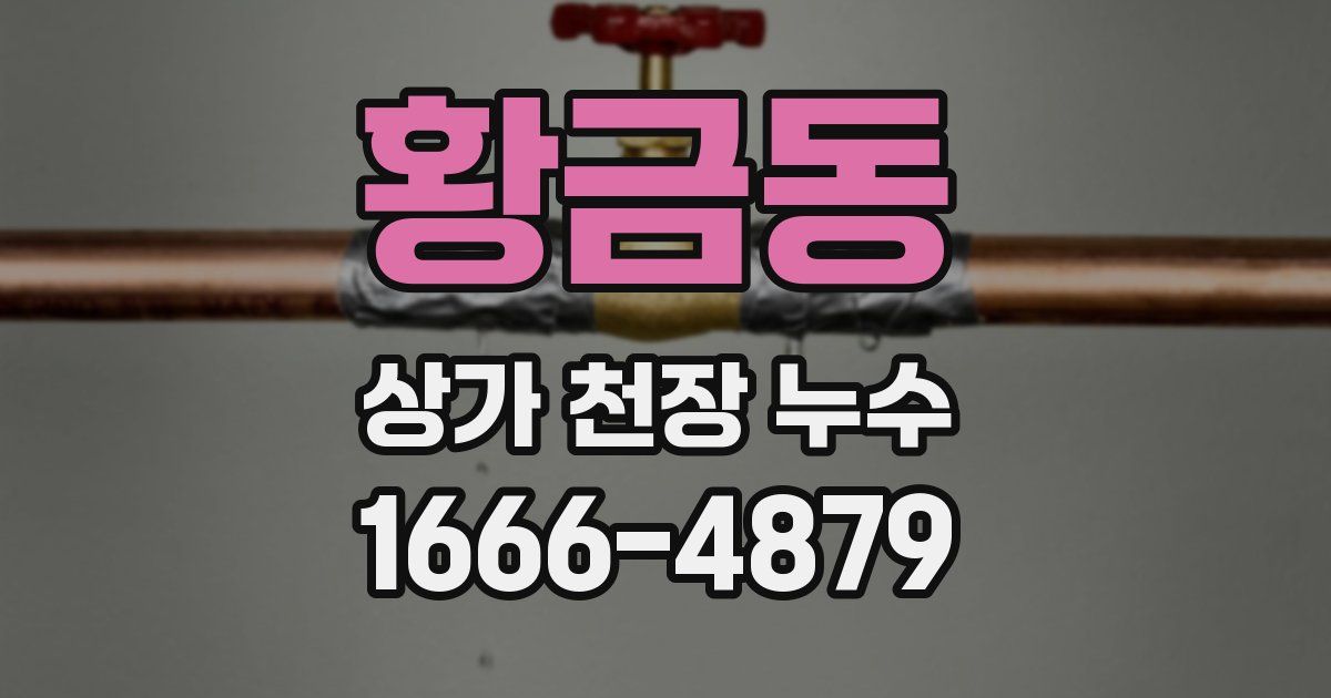 황금동 상가 천장 누수