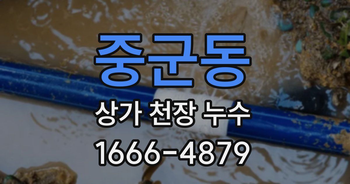 중군동 상가 천장 누수