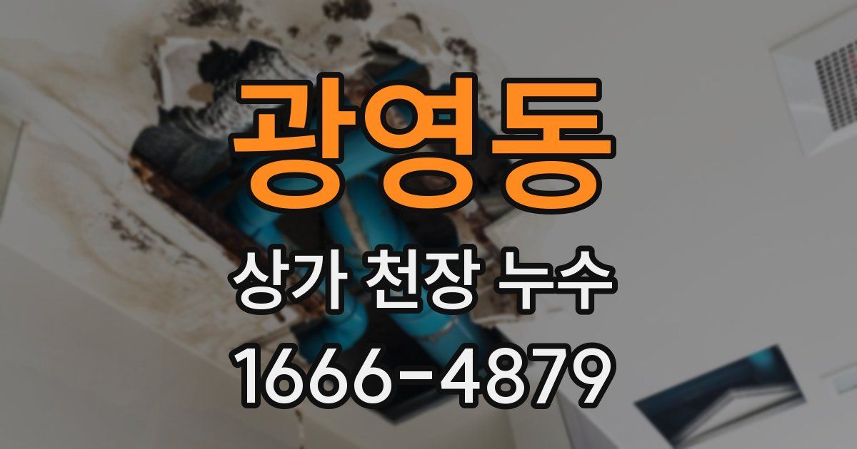 광영동 상가 천장 누수