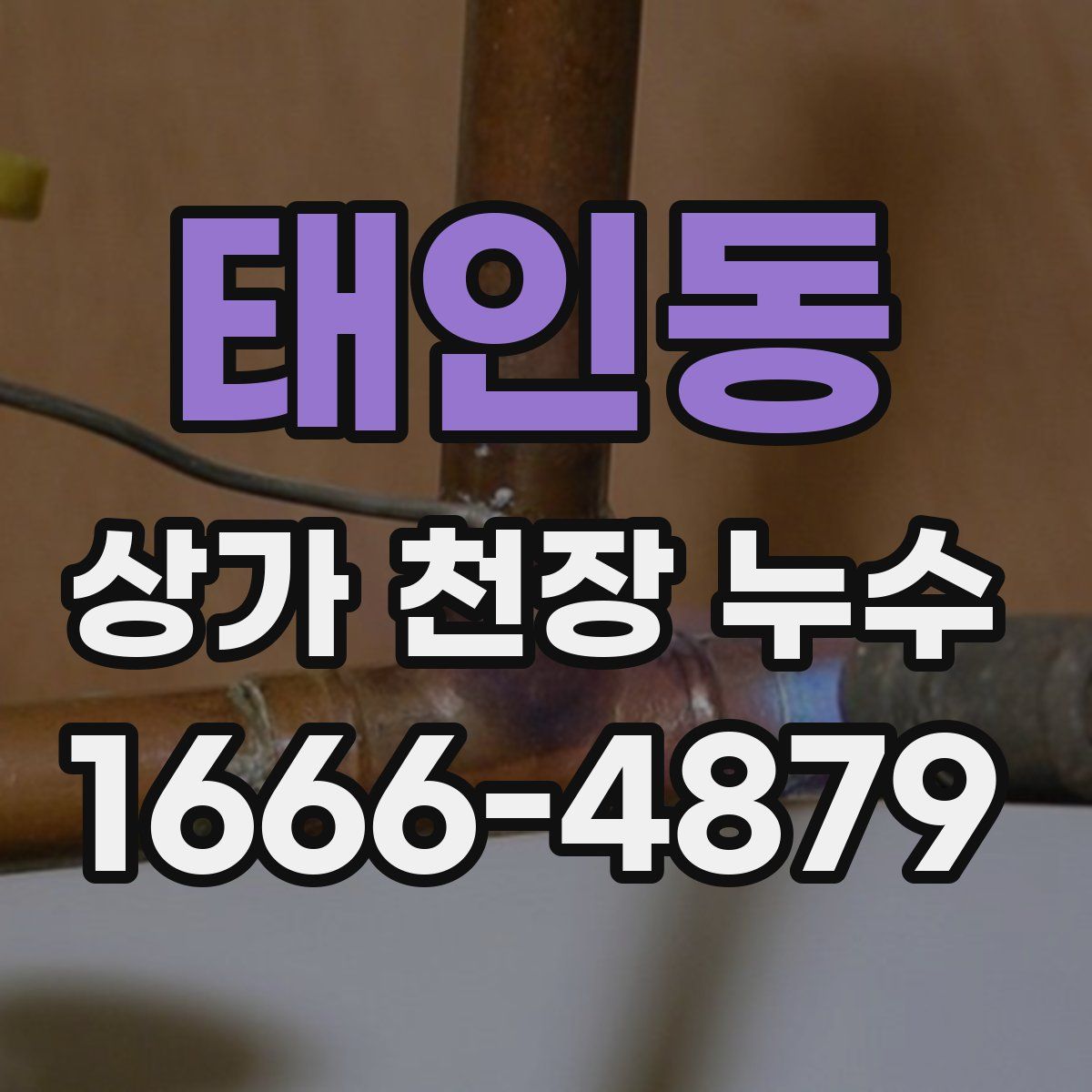 태인동 상가 천장 누수