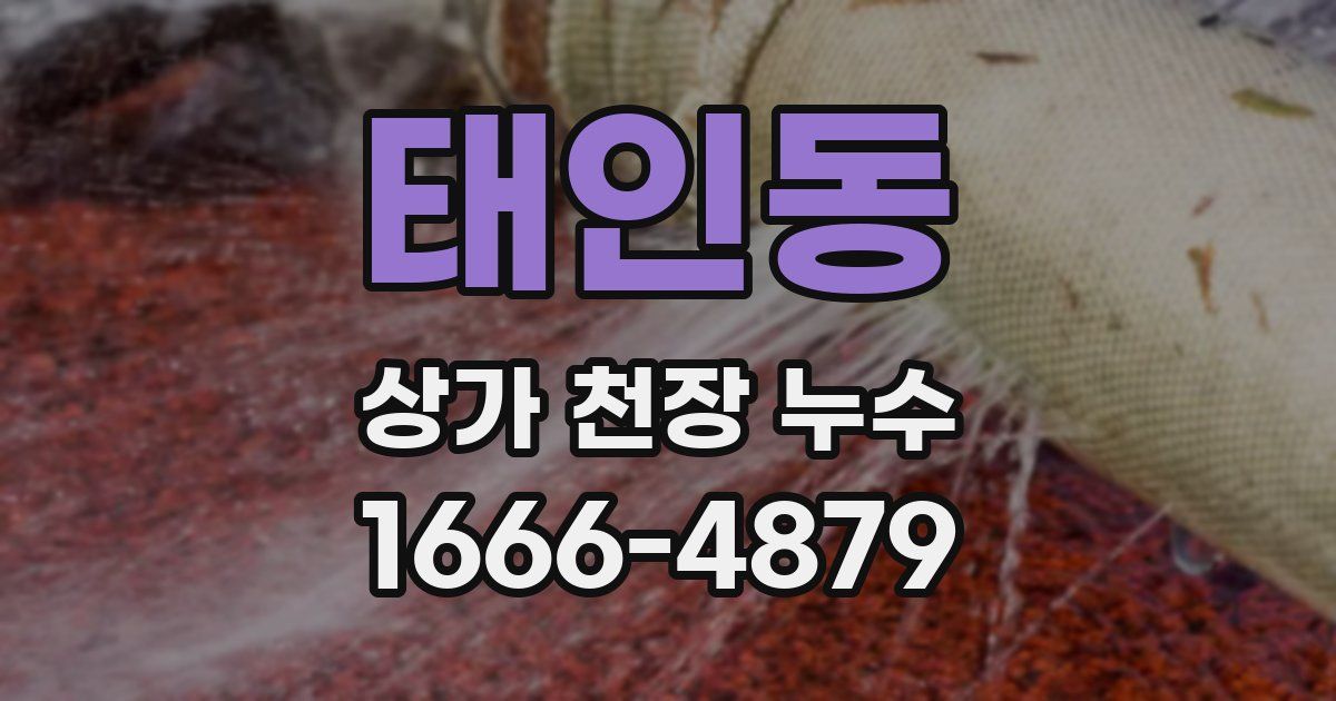 태인동 상가 천장 누수