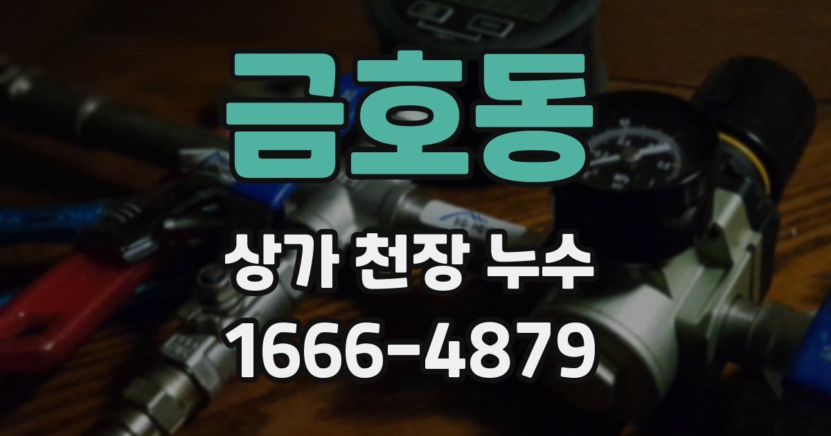 금호동 상가 천장 누수