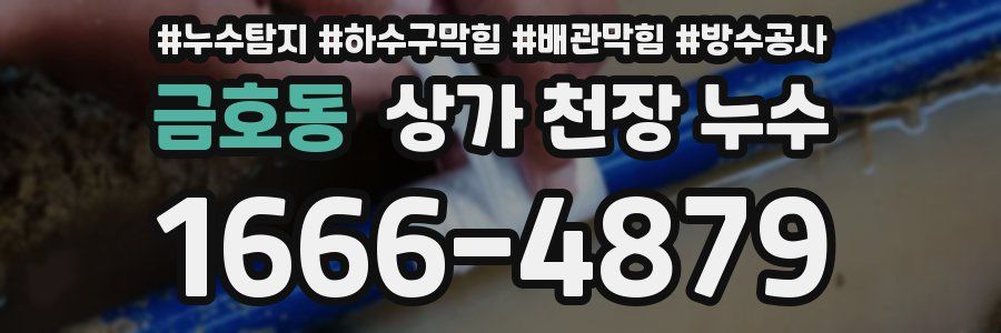 금호동 상가 천장 누수