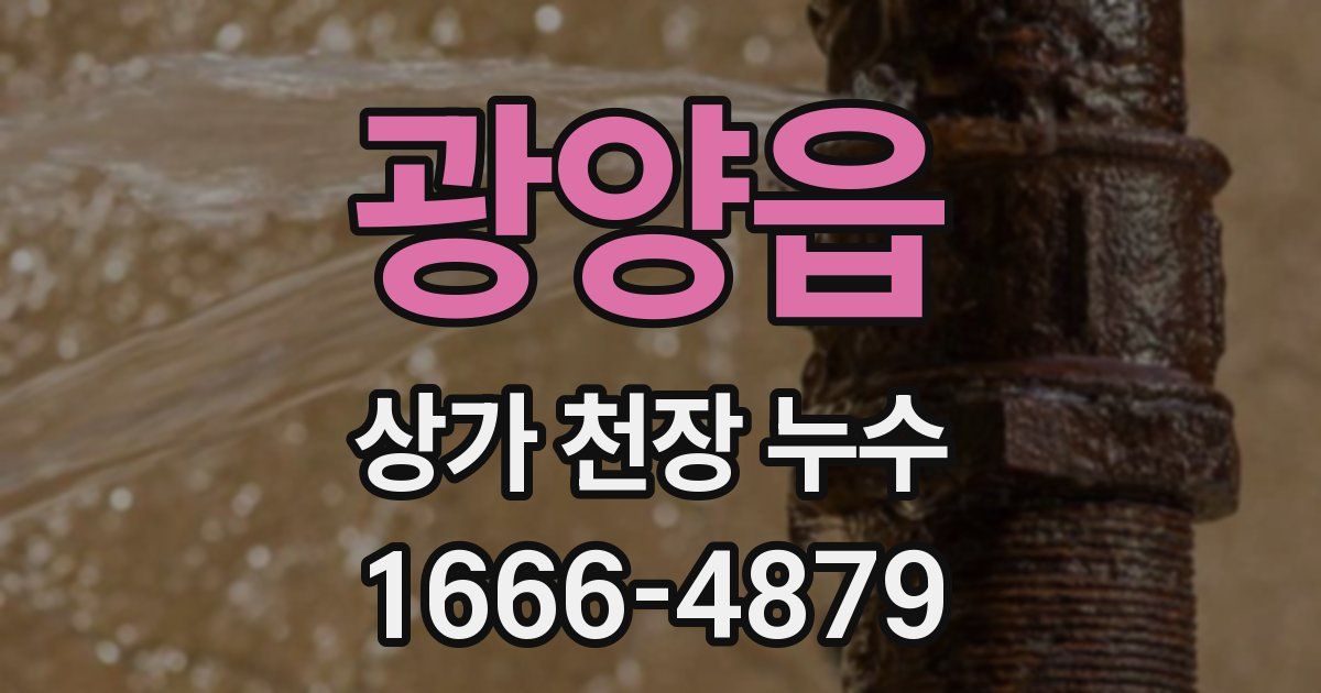 광양읍 상가 천장 누수