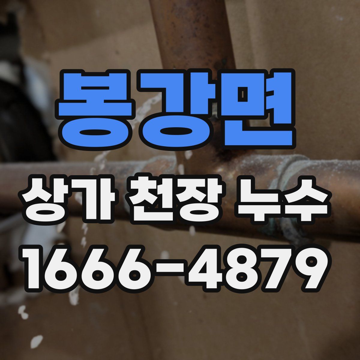 봉강면 상가 천장 누수