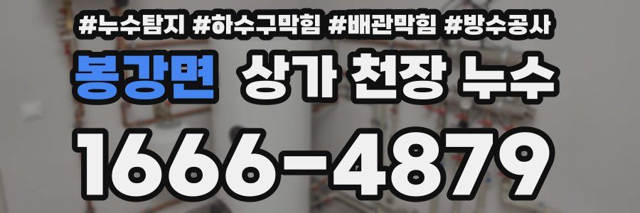 봉강면 상가 천장 누수
