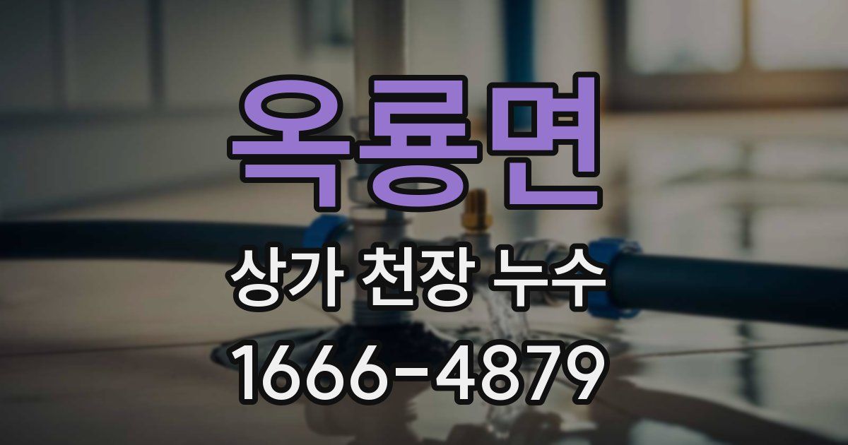 옥룡면 상가 천장 누수