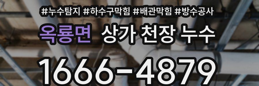 옥룡면 상가 천장 누수