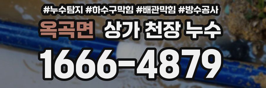 옥곡면 상가 천장 누수