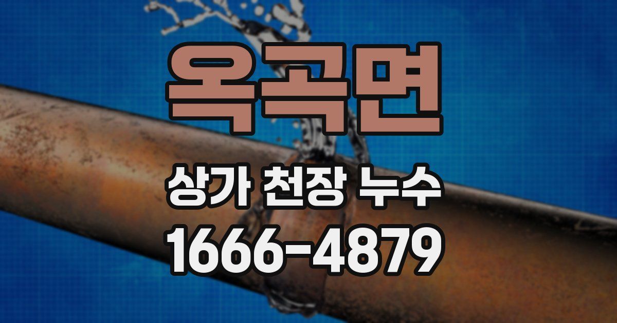 옥곡면 상가 천장 누수