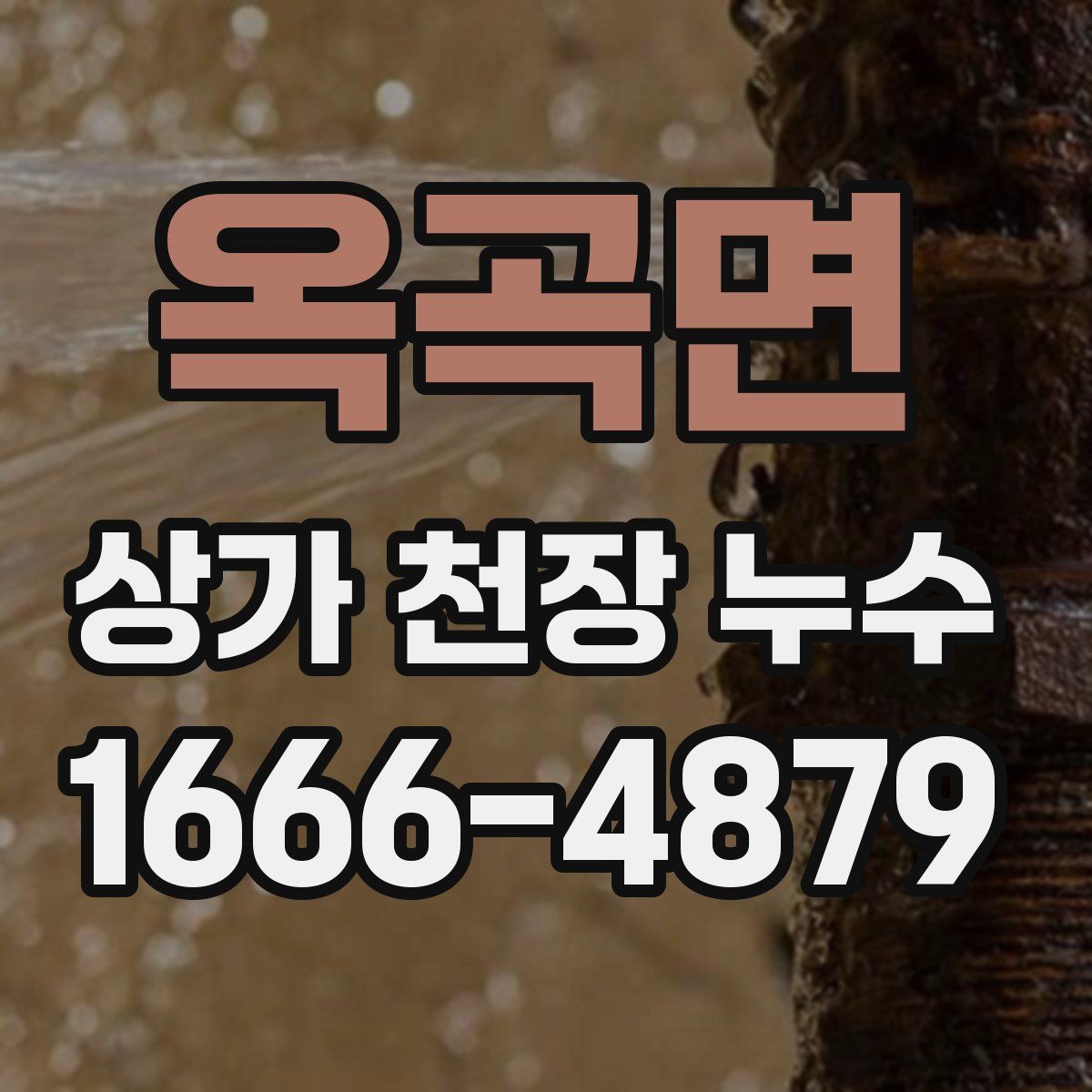 옥곡면 상가 천장 누수