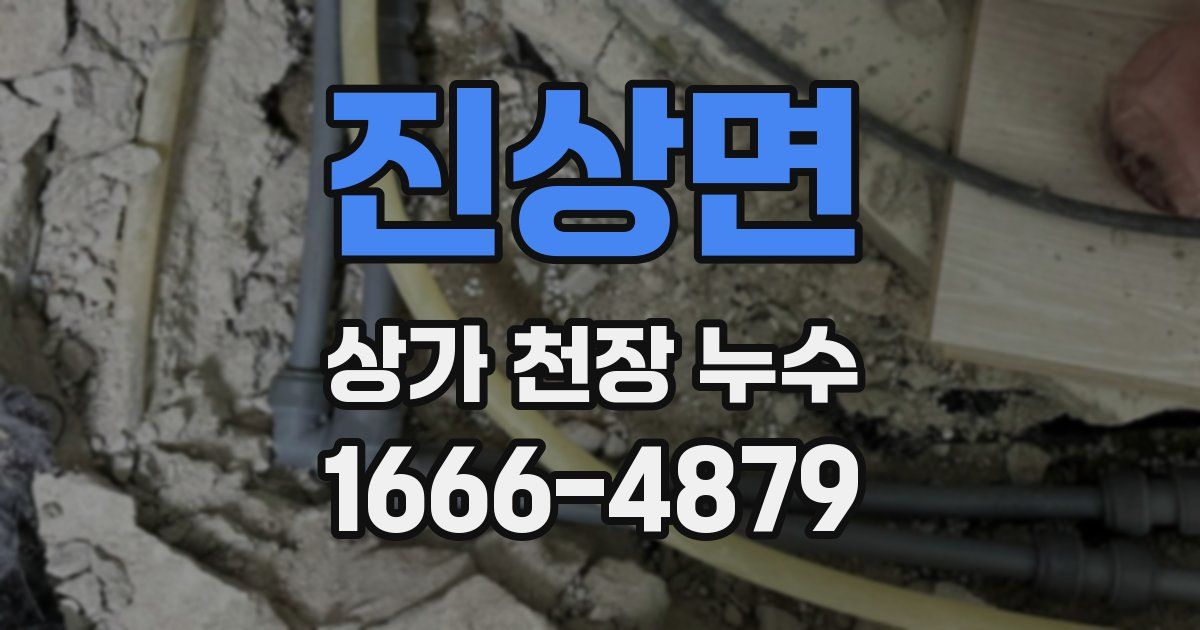 진상면 상가 천장 누수