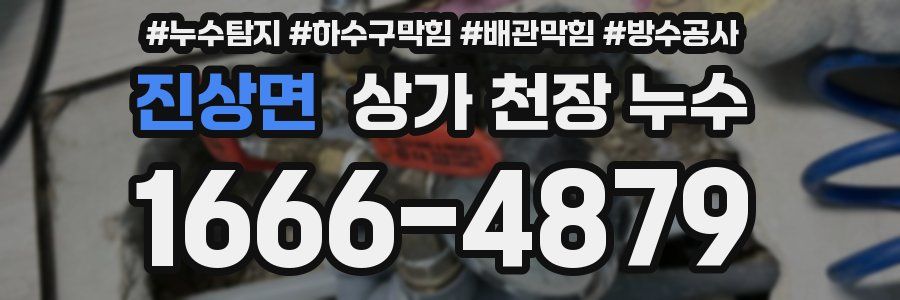 진상면 상가 천장 누수