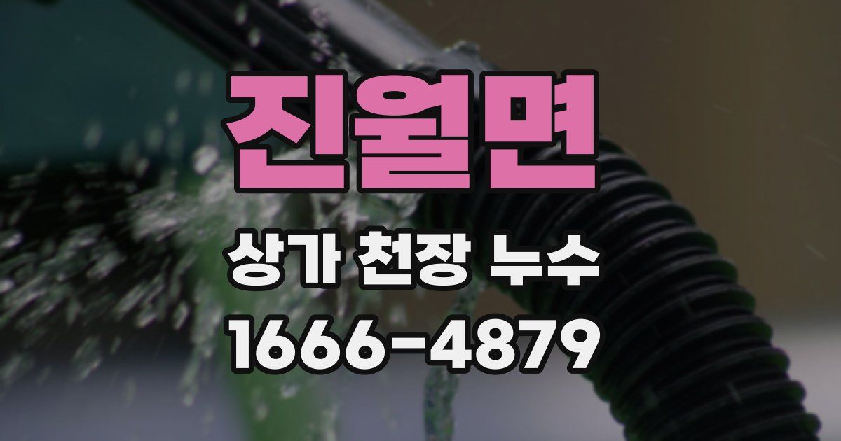 진월면 상가 천장 누수